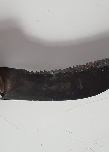 Koyu Bej Ahşap Saplı Katlanır Bıçak - Görsel 5