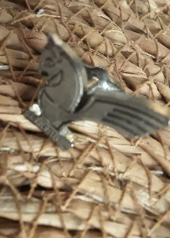 Gri Vintage Erkek Rozeti - Görsel 3