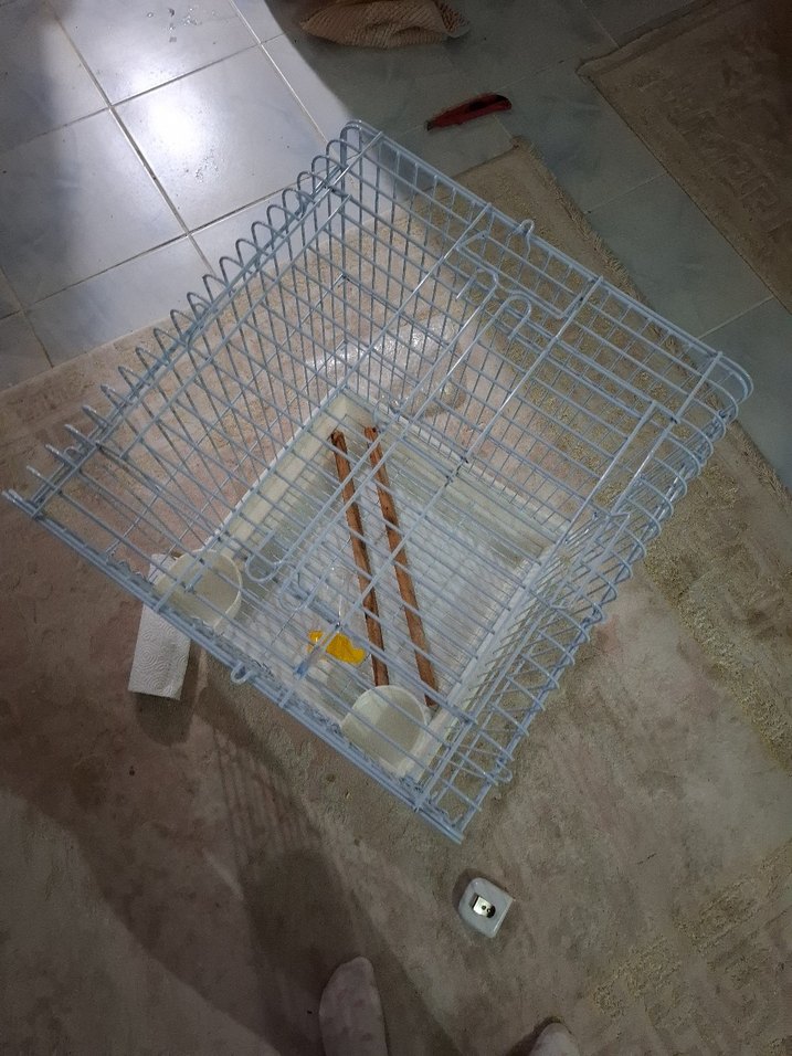 Gri Metal Evcil Hayvan Kafesi - Görsel 4