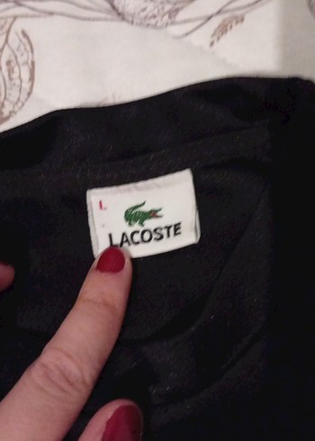 Lacoste Erkek Gri Streetwear Rozet - Görsel 2