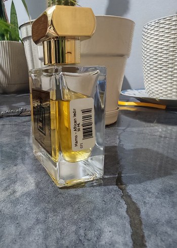 Mfy - African Leather - Görsel 3