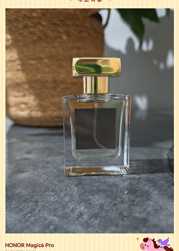 MFY - Cedrat Boise - Görsel 3