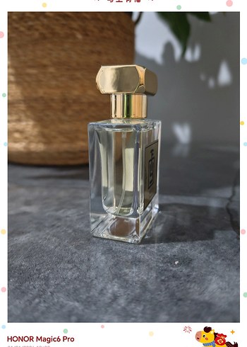 MFY - Cedrat Boise - Görsel 2