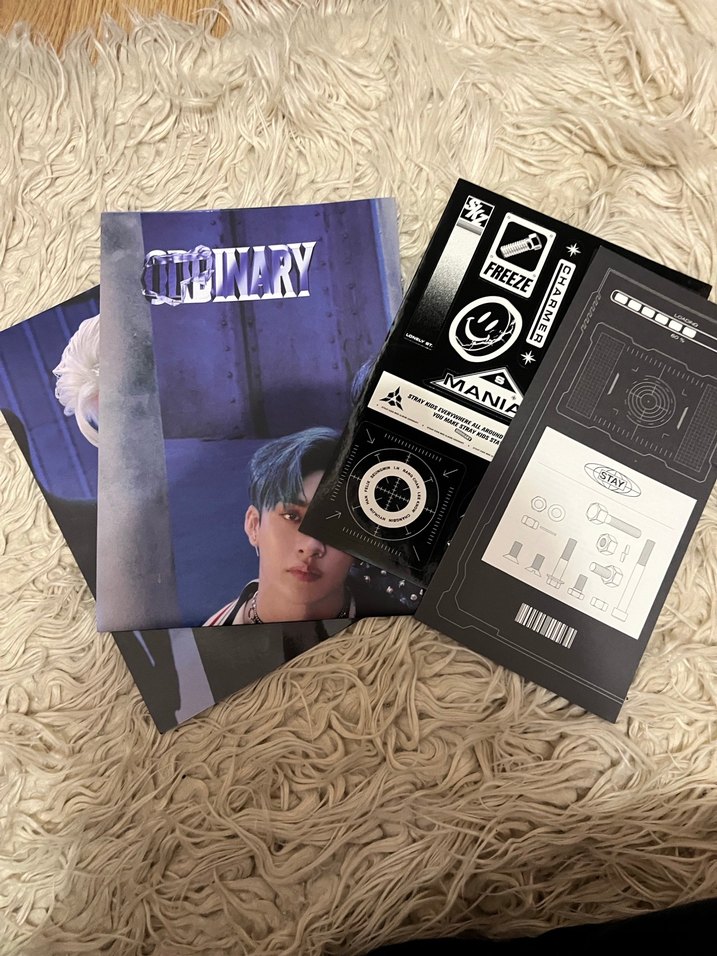 skz stray kids ordinary albüm - Görsel 2