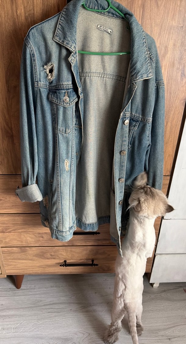 Düğmeli Gevşek Kesim Kadın Kot Ceket - Görsel 2