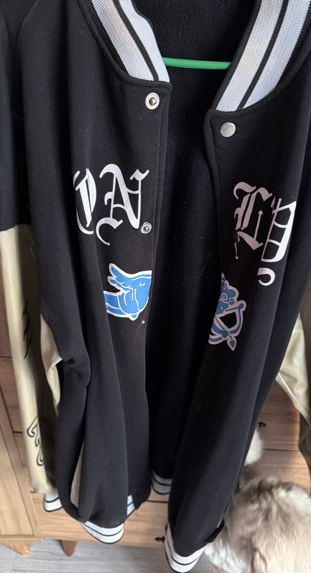 Kürk Detaylı Mavi Baskılı Sokak Stili Köpek Kıyafeti - Görsel 2