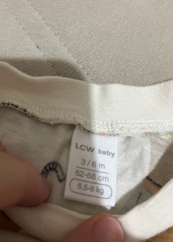 Renkli Ayı Desenli Çocuk Tişört - Görsel 2