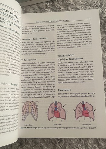 Beden Renk Cerrahi Hemşireliği II - 3. Baskı Kitap