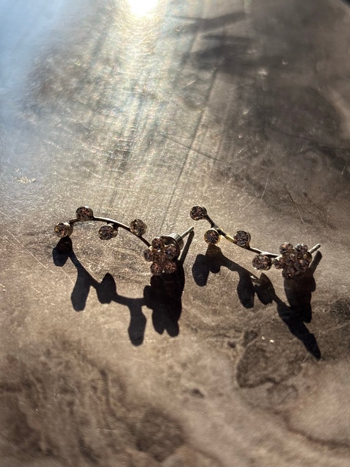 Bej Nakışlı Pullu Mini Kadın Küpeler - Görsel 2