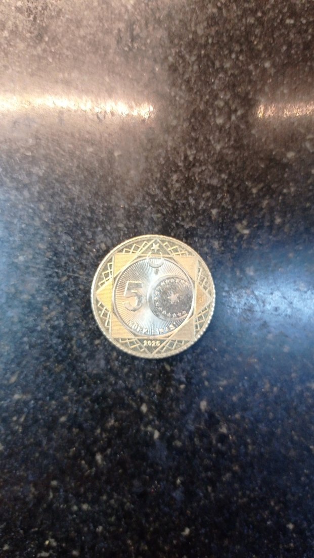 koleksiyon için değerli para - Görsel 5