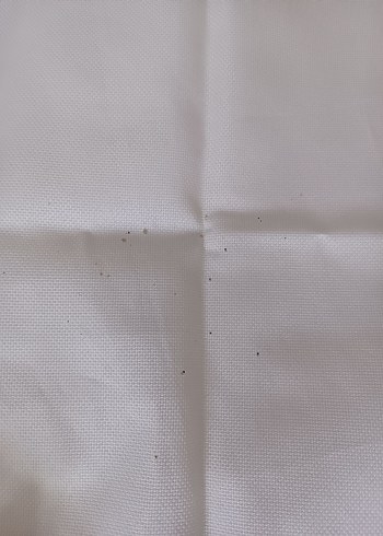 Nakışlı Pastel Beyaz Masa Örtüsü - Görsel 4