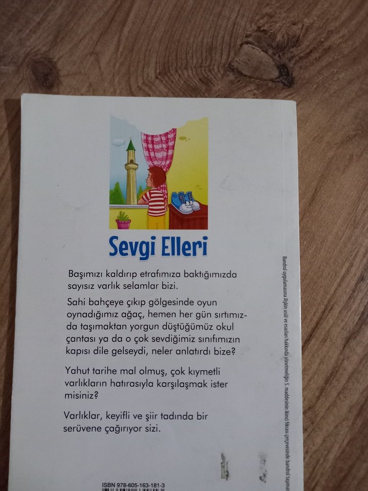 Sevgi Elleri - Zekiye Çoban - Görsel 2