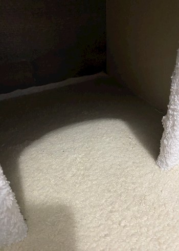 Beyaz Kedi Evi ve Tırmalama Direği - Görsel 4