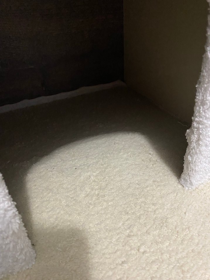 Beyaz Kedi Evi ve Tırmalama Direği - Görsel 4