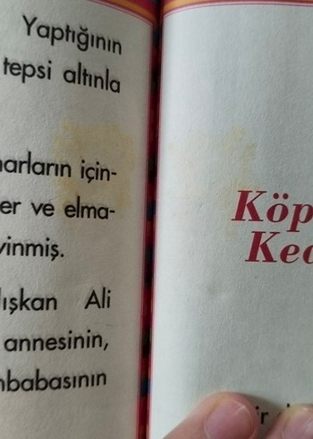 Vişne Kokulu Masallar - Çocuk Kitabı - Görsel 13