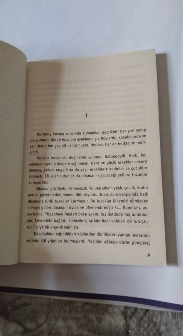 Fadiş - Gülten Dayıoğlu Çocuk Kitabı - Görsel 4