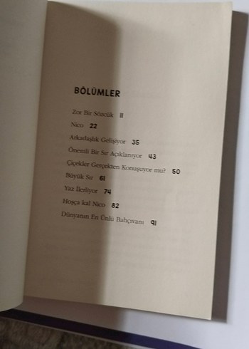 Doğaya Fısıldayan Çocuklar - Luigi Ballerini - Görsel 5