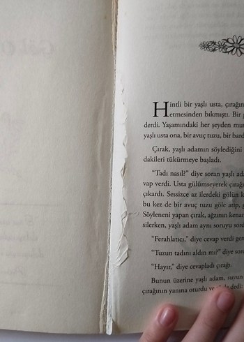 Papatya Kokulu Hikayeler - Kokulu Kitap - Görsel 9