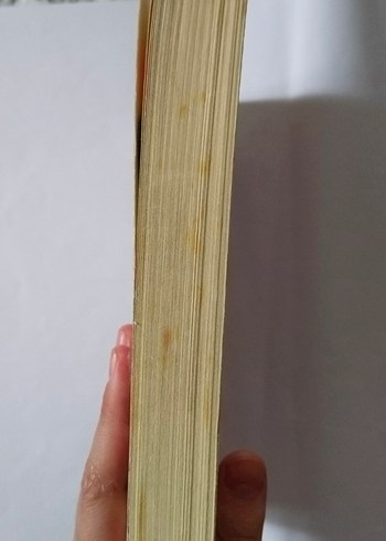 Papatya Kokulu Hikayeler - Kokulu Kitap - Görsel 7