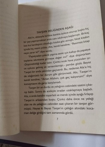 Alis Harikalar Diyarında - Çocuk Kitabı - Görsel 8