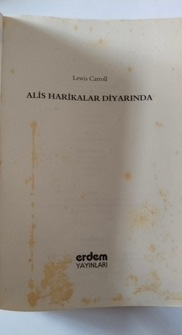 Alis Harikalar Diyarında - Çocuk Kitabı - Görsel 4