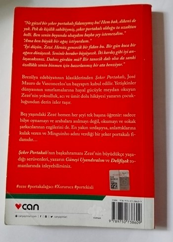 Şeker Portakalı - José Mauro de Vasconcelos - Görsel 2