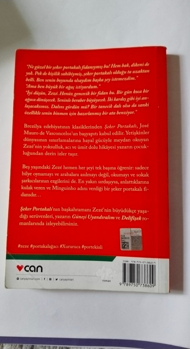 Şeker Portakalı - José Mauro de Vasconcelos - Görsel 2