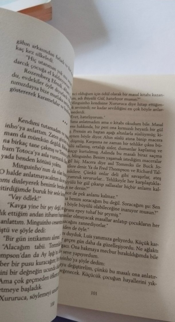 Şeker Portakalı - José Mauro de Vasconcelos - Görsel 5