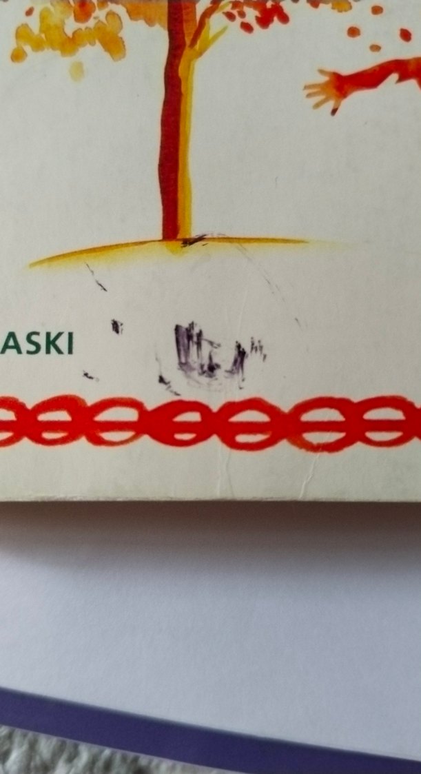 Şeker Portakalı - José Mauro de Vasconcelos - Görsel 4