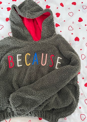 Gri Kapüşonlu Nakışlı Kadın Sweatshirt - Görsel 3