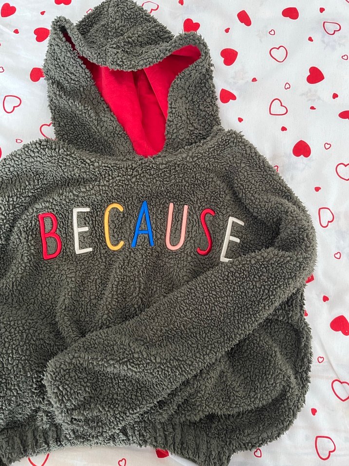 Gri Kapüşonlu Nakışlı Kadın Sweatshirt - Görsel 3