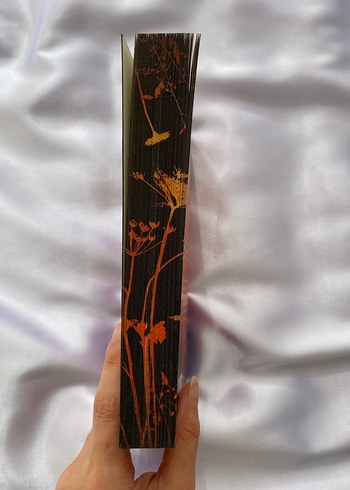 Ellie Black'in Dönüşü - Emiko Jean - Görsel 2