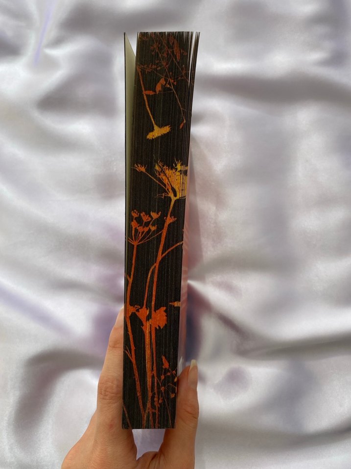 Ellie Black'in Dönüşü - Emiko Jean - Görsel 2