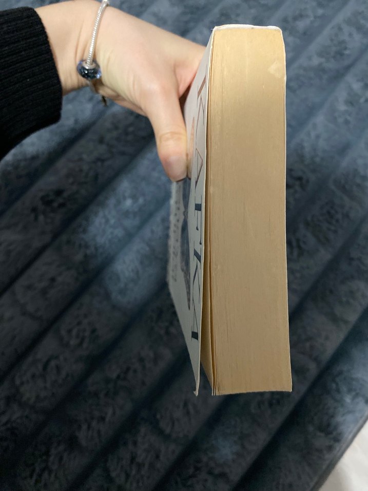 Milena'ya Mektuplar - Kafka — görsel 3/5