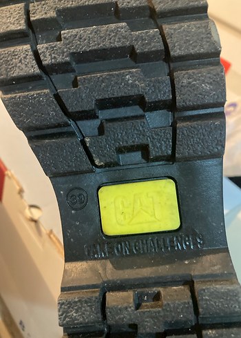 Kadın Cat Bot - Görsel 3