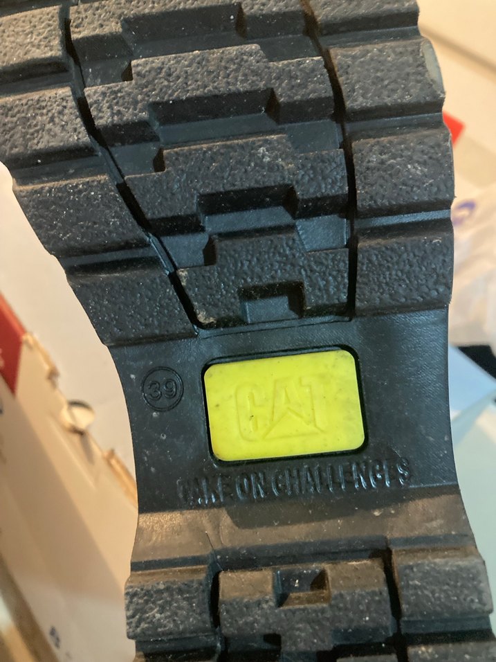 Kadın Cat Bot - Görsel 3