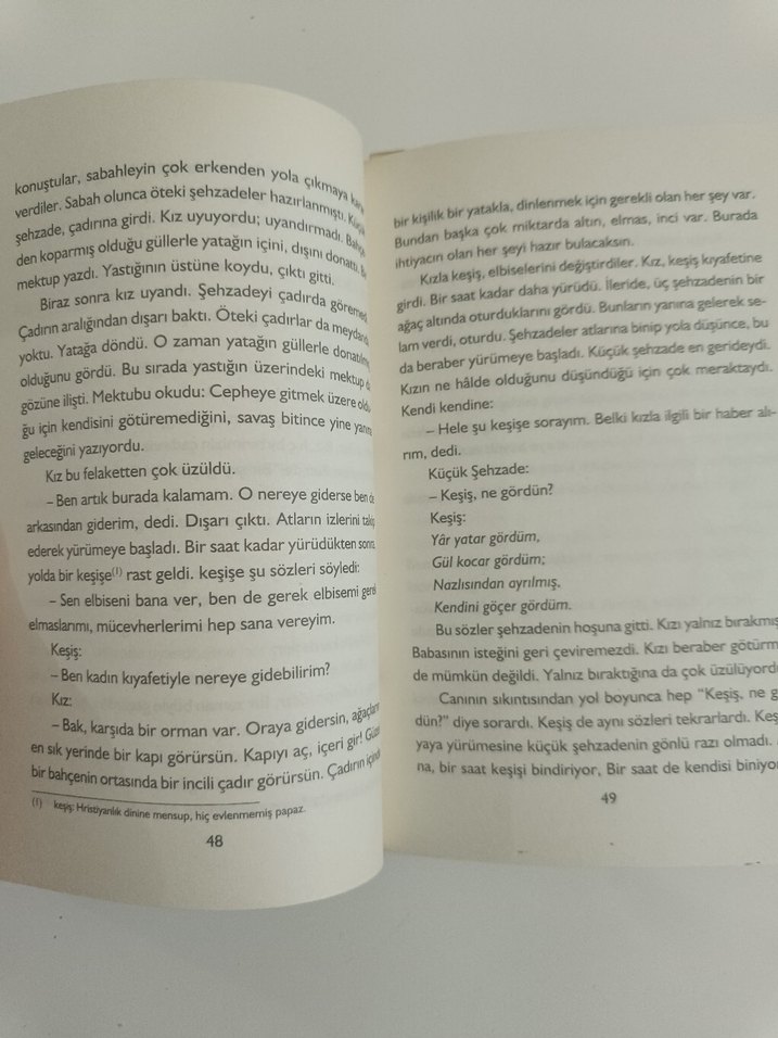 Altın Işık - İlk Gençlik Klasikleri - Görsel 3