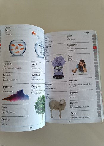 Resimli İngilizce-Türkçe Sözlük - Görsel 3