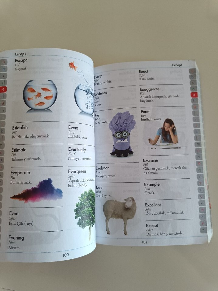 Resimli İngilizce-Türkçe Sözlük - Görsel 3