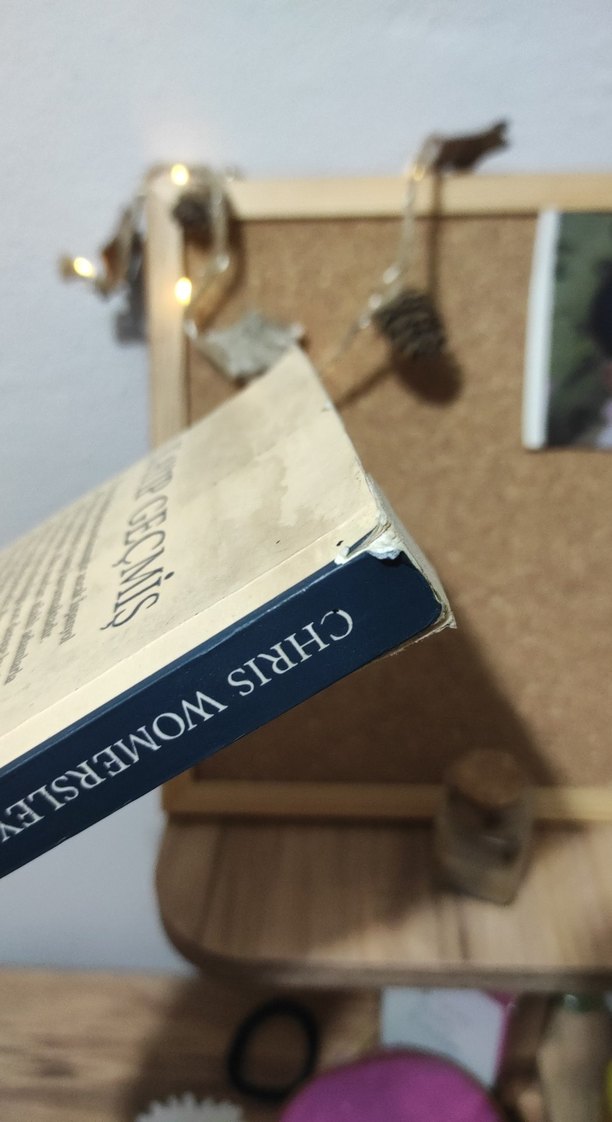 Kayıp Geçmiş - Chris Womersley - Görsel 2