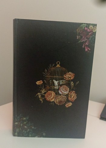 Unutulmuş Kuşlar Göğü - K. Kübra Berk - Görsel 3