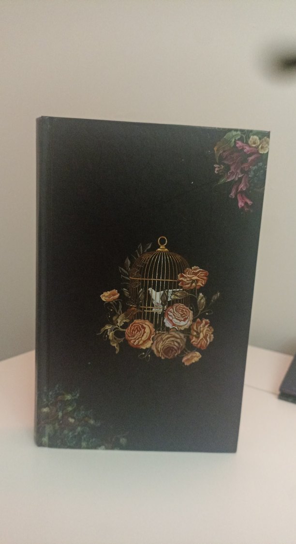 Unutulmuş Kuşlar Göğü - K. Kübra Berk - Görsel 3