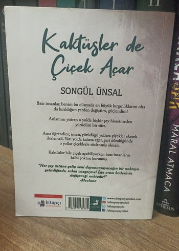 Kaktüsler de Çiçek Açar - Songül Ünsal - Görsel 2