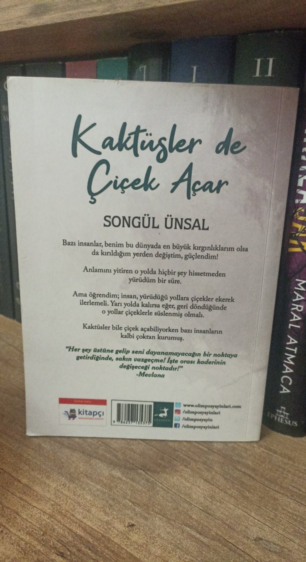 Kaktüsler de Çiçek Açar - Songül Ünsal - Görsel 2