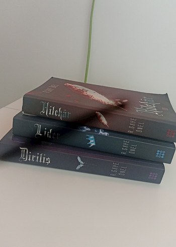 R. Gaye Onel Roman Seti: Hilekar, Dişi, Lion - Görsel 2