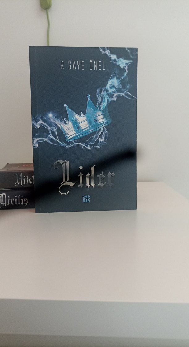 R. Gaye Onel Roman Seti: Hilekar, Dişi, Lion - Görsel 4