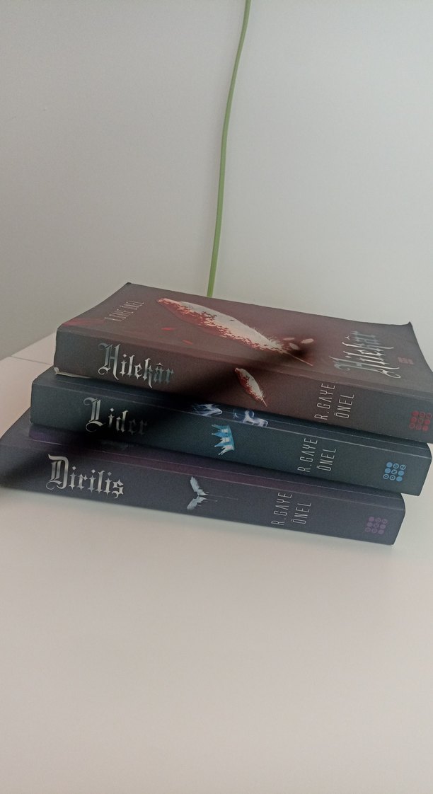 R. Gaye Onel Roman Seti: Hilekar, Dişi, Lion - Görsel 2