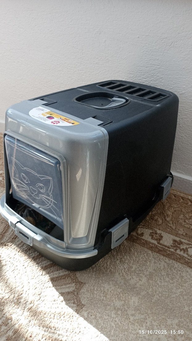 Gri Kedi  Tuvalet Kutusu - Görsel 2