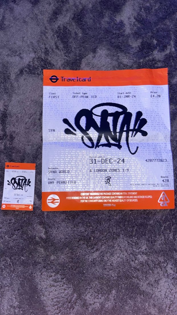 SynaWorld Tracksuit Alt - Görsel 5