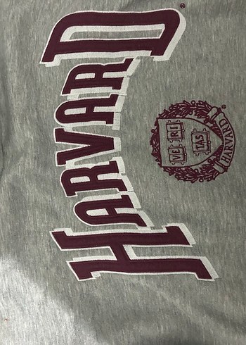 Kapüşonlu Harvard Baskılı Gri Kadın Kalın Sweatshirt Pull Bear - Görsel 2